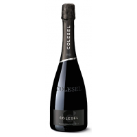 Colesel Valdobbiadene Prosecco Superiore D.O.C.G. Brut Prato Scuro 2019
