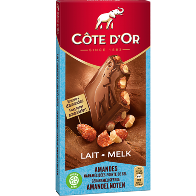 Шоколад Côte d'Or Bloc Lait Amandes Caramélisées Pointe de Sel