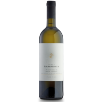 Вино Pinot Grigio delle Venezie DOC Vigna Rampante Paso Fino 2021