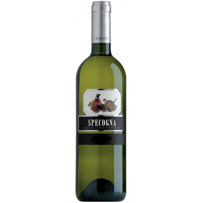 Вино Specogna Malvasia Friuli Colli Orientali DOC 2019