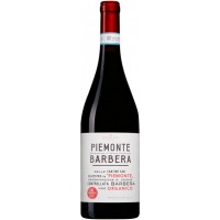 Barbera d'Alba D.O.C. Cantine San Silvestro 2019