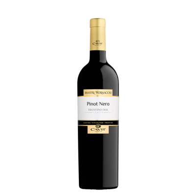 Вино Pinot Nero Trentino D.O.C. Mastri Vernacoli 2019