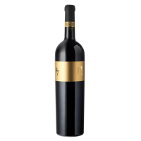 Raboso del Piave DOC 47 Anno Domini 2019