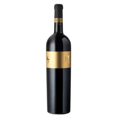 Raboso del Piave DOC 47 Anno Domini 2019