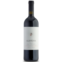 Вино Merlot Colli Trevigiani IGT Vigna Rampante Prima Pressa 2021